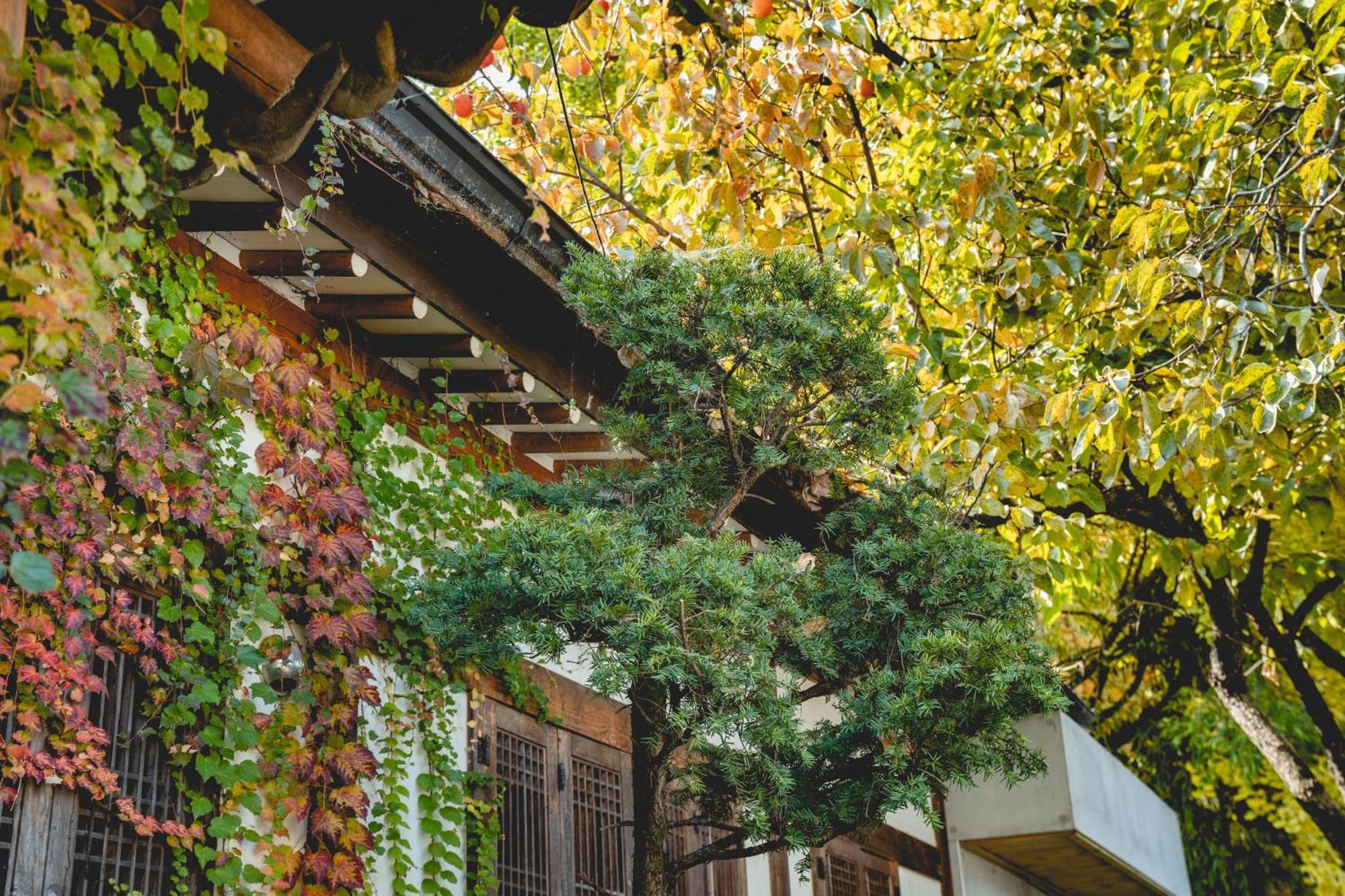 Hotelarrive Jeonju Sihwayeonpung Luaran gambar
